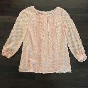 J. Crew long sleeve blouse